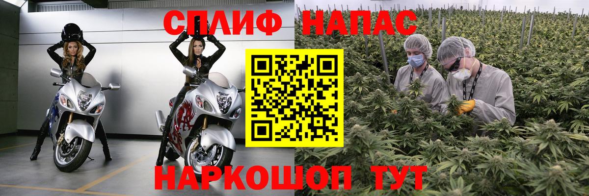 Бошки Шишки VHQ Пенза